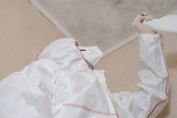 Best Professional Mold Removal  in Eaton Rapids, MI